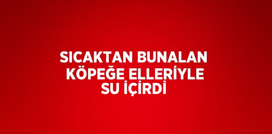 SICAKTAN BUNALAN KÖPEĞE ELLERİYLE SU İÇİRDİ