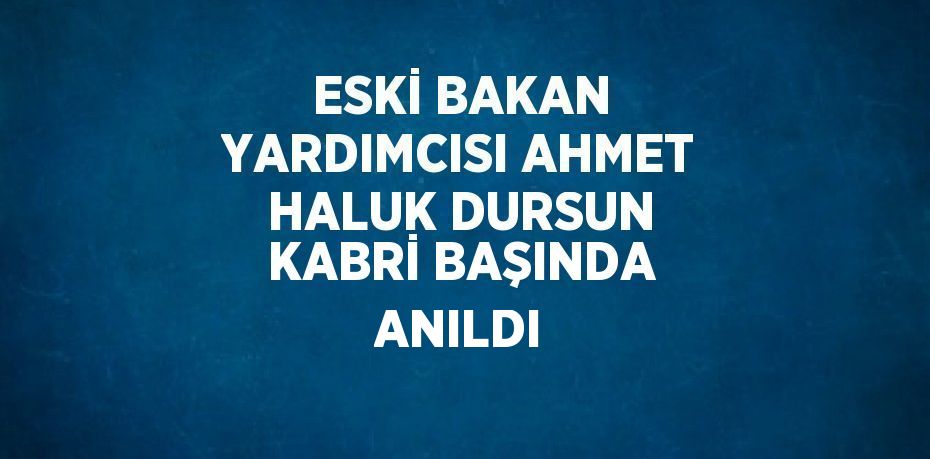 ESKİ BAKAN YARDIMCISI AHMET HALUK DURSUN KABRİ BAŞINDA ANILDI