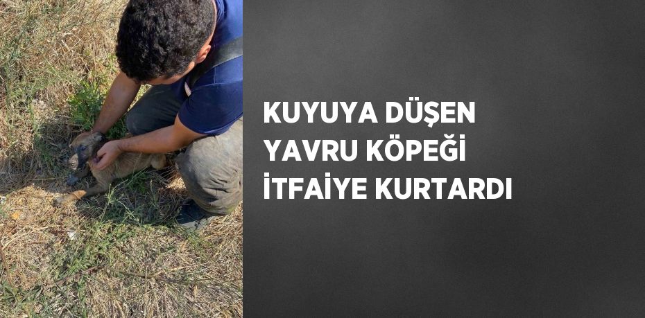 KUYUYA DÜŞEN YAVRU KÖPEĞİ İTFAİYE KURTARDI