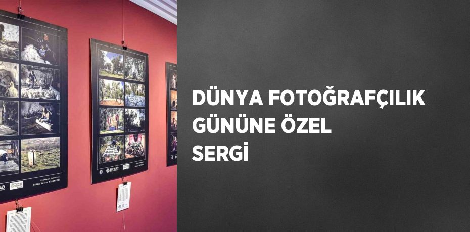 DÜNYA FOTOĞRAFÇILIK GÜNÜNE ÖZEL SERGİ