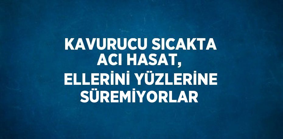 KAVURUCU SICAKTA ACI HASAT, ELLERİNİ YÜZLERİNE SÜREMİYORLAR