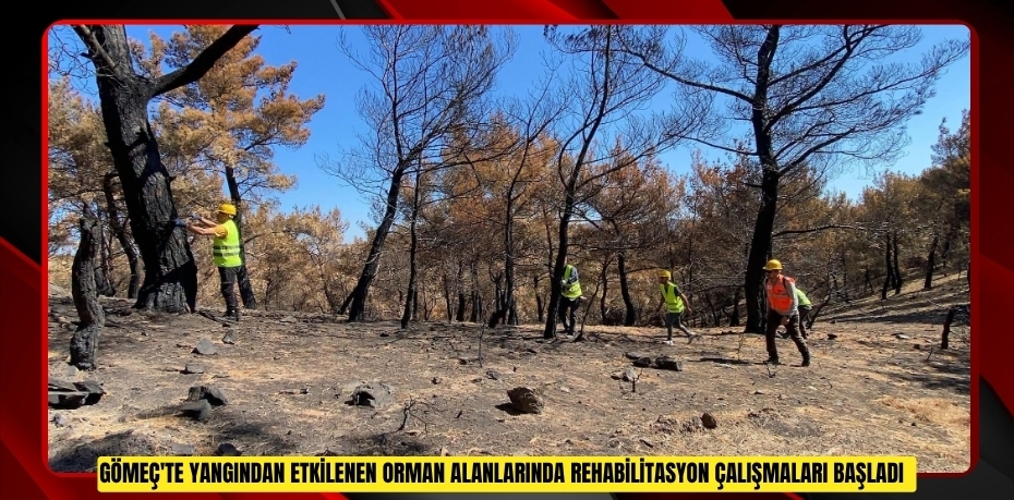 Gömeç'te yangından etkilenen orman alanlarında rehabilitasyon çalışmaları başladı  