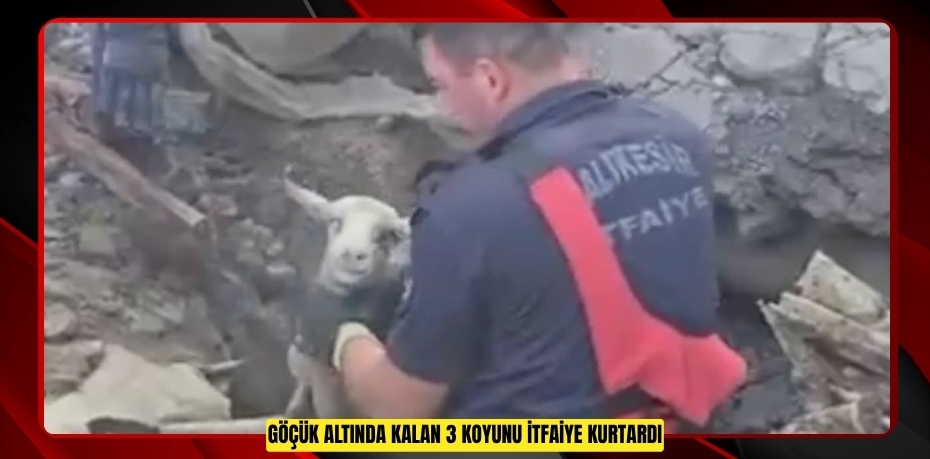Göçük altında kalan 3 koyunu itfaiye kurtardı  