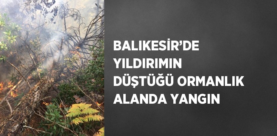 BALIKESİR’DE YILDIRIMIN DÜŞTÜĞÜ ORMANLIK ALANDA YANGIN