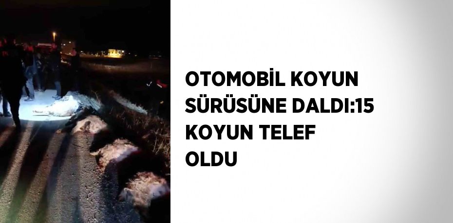 OTOMOBİL KOYUN SÜRÜSÜNE DALDI:15 KOYUN TELEF OLDU