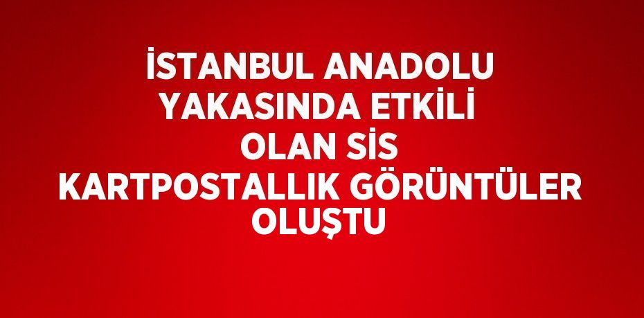 İSTANBUL ANADOLU YAKASINDA ETKİLİ OLAN SİS KARTPOSTALLIK GÖRÜNTÜLER OLUŞTU