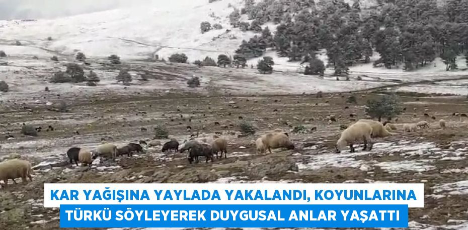 KAR YAĞIŞINA YAYLADA YAKALANDI, KOYUNLARINA TÜRKÜ SÖYLEYEREK DUYGUSAL ANLAR YAŞATTI