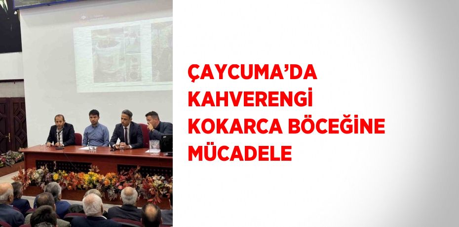 ÇAYCUMA’DA KAHVERENGİ KOKARCA BÖCEĞİNE MÜCADELE