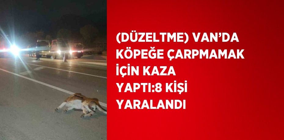 (DÜZELTME) VAN’DA KÖPEĞE ÇARPMAMAK İÇİN KAZA YAPTI:8 KİŞİ YARALANDI