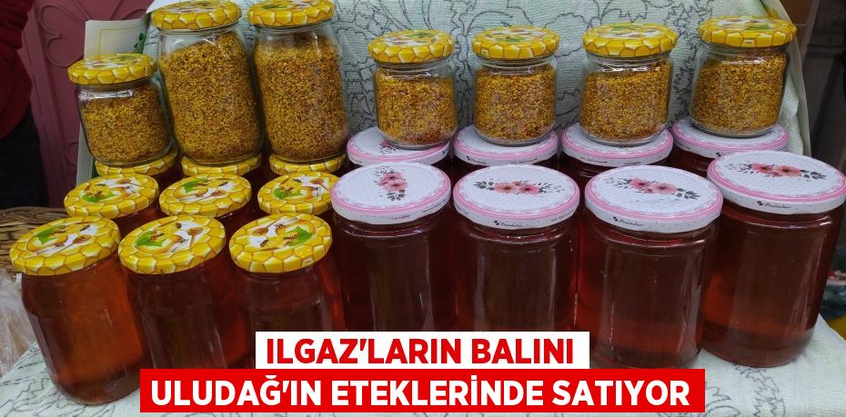 Ilgaz'ların balını Uludağ'ın eteklerinde satıyor