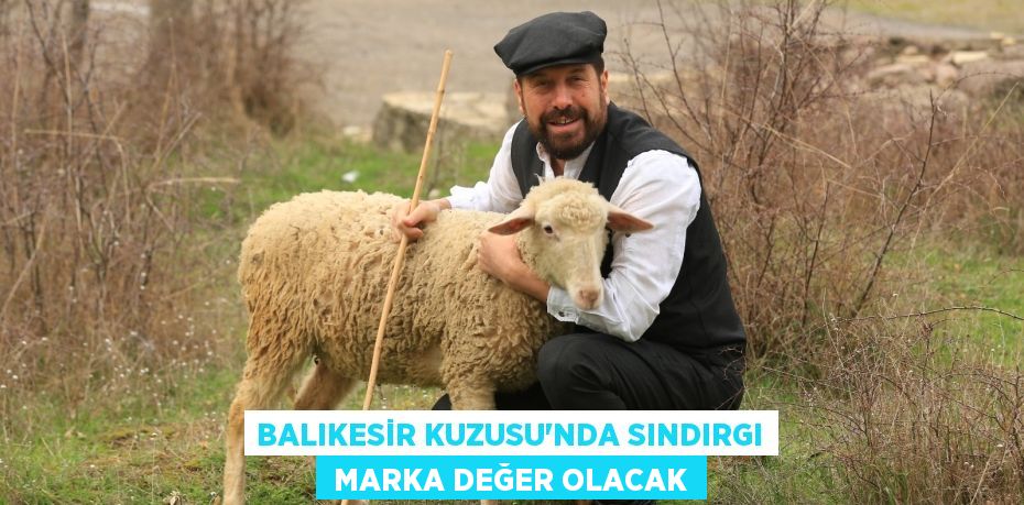 BALIKESİR KUZUSU’NDA SINDIRGI  MARKA DEĞER OLACAK