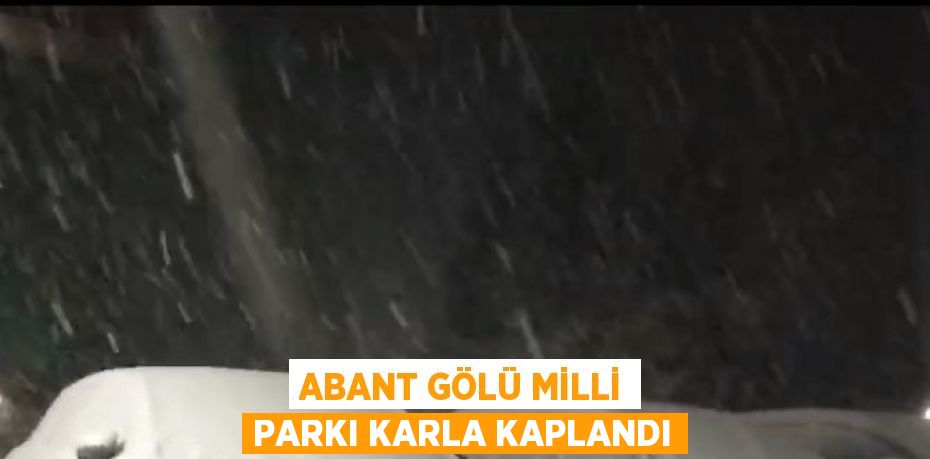 ABANT GÖLÜ MİLLİ PARKI KARLA KAPLANDI