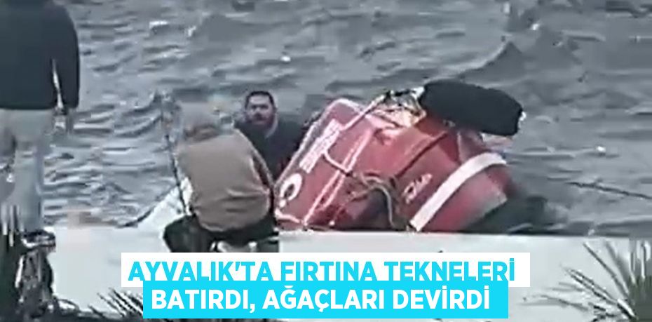 Ayvalık’ta fırtına tekneleri batırdı, ağaçları devirdi 