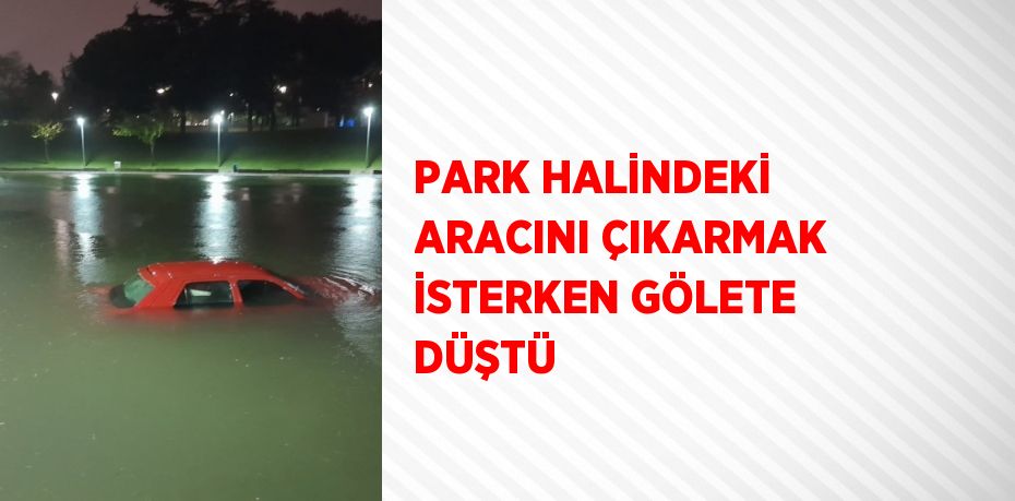 PARK HALİNDEKİ ARACINI ÇIKARMAK İSTERKEN GÖLETE DÜŞTÜ