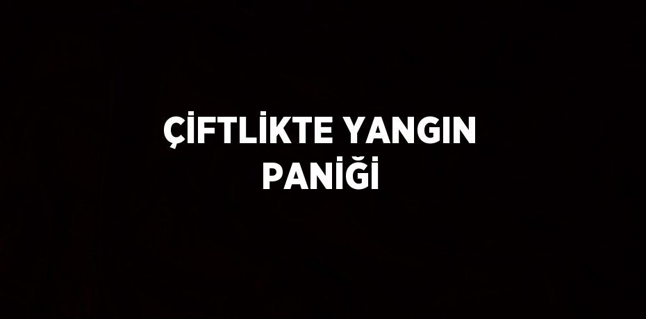 ÇİFTLİKTE YANGIN PANİĞİ