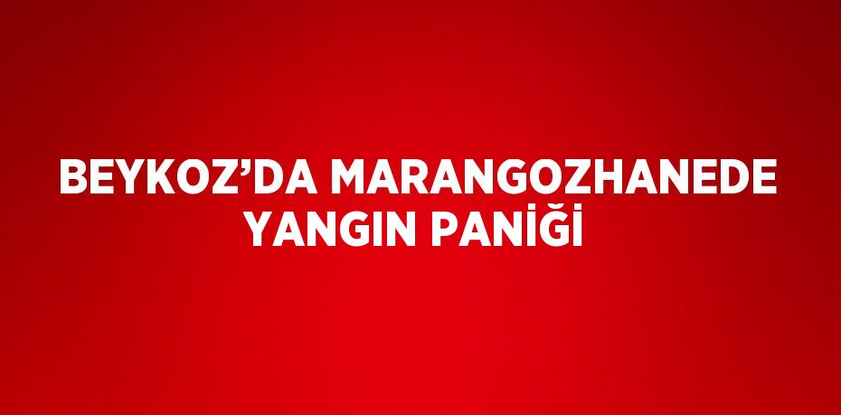 BEYKOZ’DA MARANGOZHANEDE YANGIN PANİĞİ