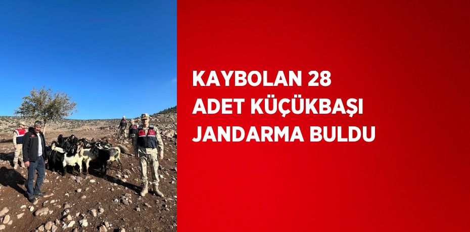 KAYBOLAN 28 ADET KÜÇÜKBAŞI JANDARMA BULDU