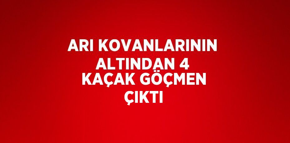 ARI KOVANLARININ ALTINDAN 4 KAÇAK GÖÇMEN ÇIKTI