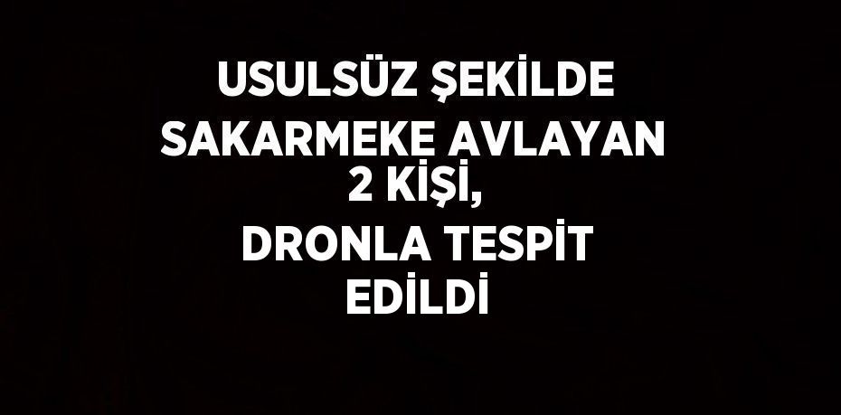 USULSÜZ ŞEKİLDE SAKARMEKE AVLAYAN 2 KİŞİ, DRONLA TESPİT EDİLDİ