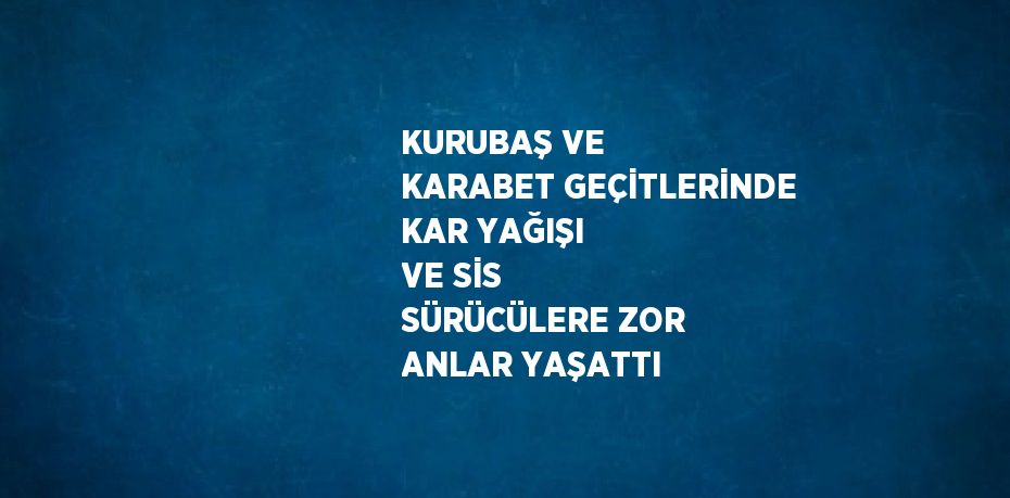 KURUBAŞ VE KARABET GEÇİTLERİNDE KAR YAĞIŞI VE SİS SÜRÜCÜLERE ZOR ANLAR YAŞATTI