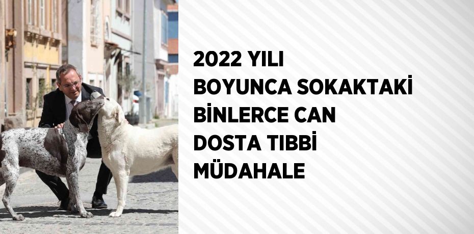 2022 YILI BOYUNCA SOKAKTAKİ BİNLERCE CAN DOSTA TIBBİ MÜDAHALE