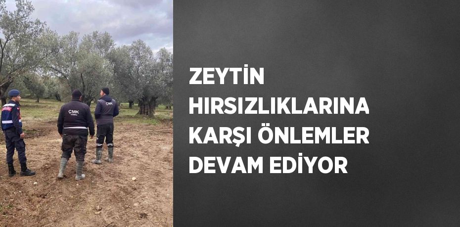 ZEYTİN HIRSIZLIKLARINA KARŞI ÖNLEMLER DEVAM EDİYOR