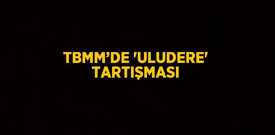 TBMM’DE 'ULUDERE' TARTIŞMASI