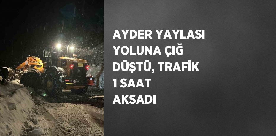 AYDER YAYLASI YOLUNA ÇIĞ DÜŞTÜ, TRAFİK 1 SAAT AKSADI