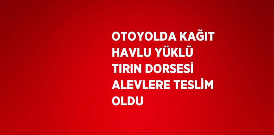 OTOYOLDA KAĞIT HAVLU YÜKLÜ TIRIN DORSESİ ALEVLERE TESLİM OLDU