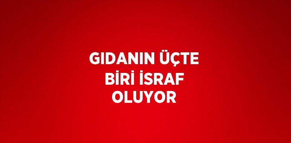 GIDANIN ÜÇTE BİRİ İSRAF OLUYOR