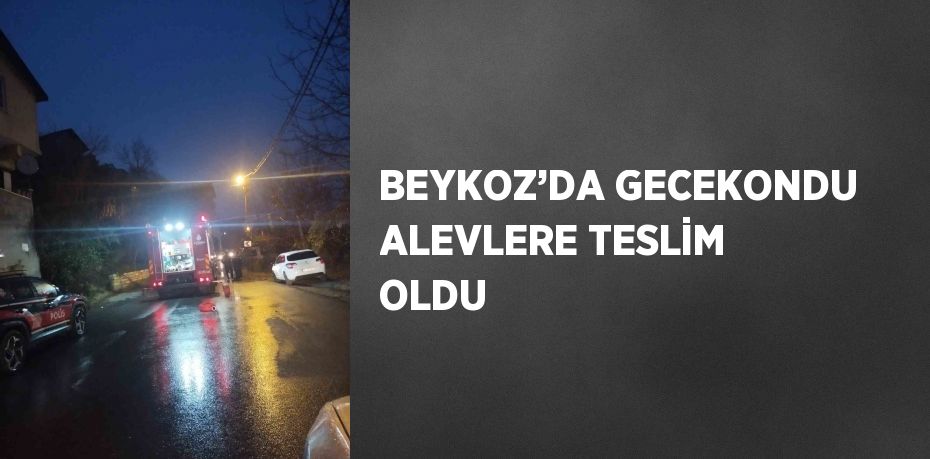 BEYKOZ’DA GECEKONDU ALEVLERE TESLİM OLDU