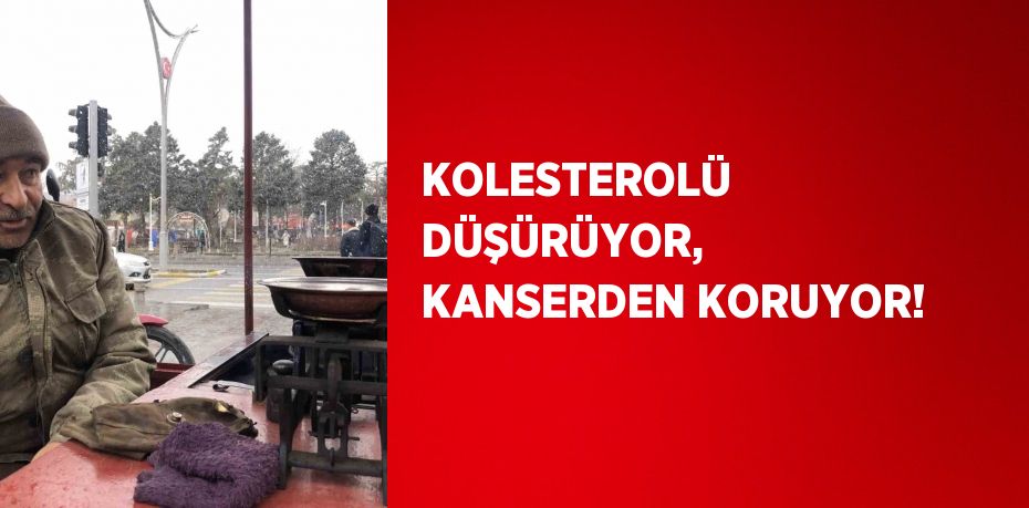 KOLESTEROLÜ DÜŞÜRÜYOR, KANSERDEN KORUYOR!