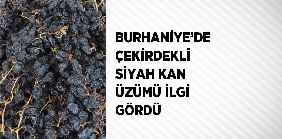 BURHANİYE’DE ÇEKİRDEKLİ SİYAH KAN ÜZÜMÜ İLGİ GÖRDÜ