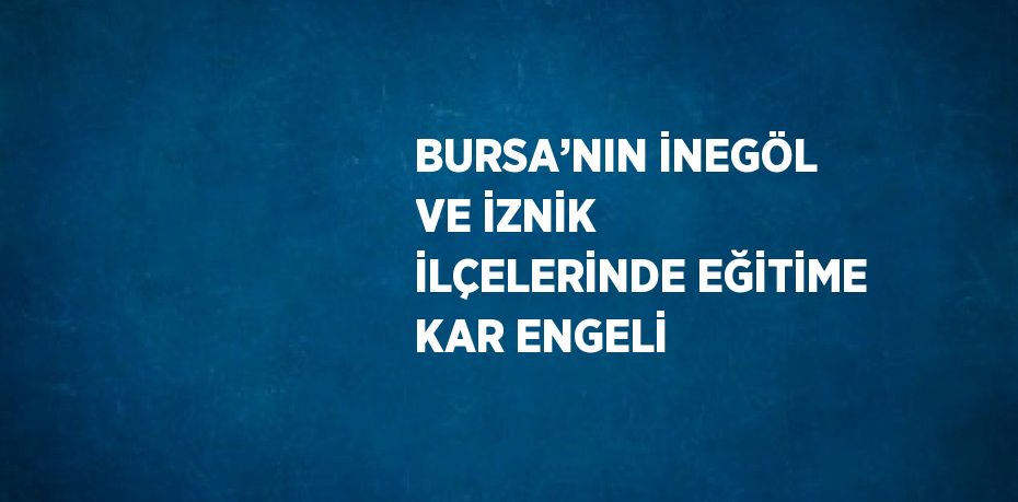 BURSA’NIN İNEGÖL VE İZNİK İLÇELERİNDE EĞİTİME KAR ENGELİ