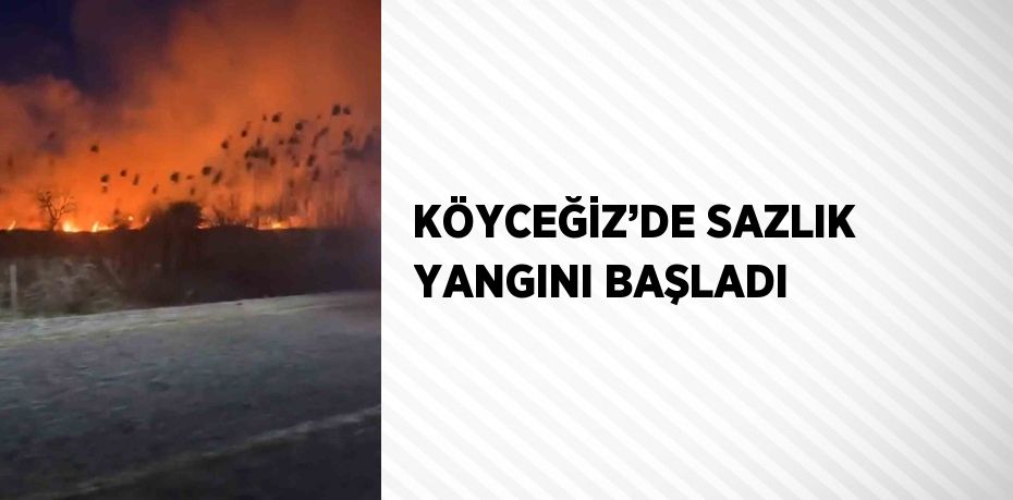 KÖYCEĞİZ’DE SAZLIK YANGINI BAŞLADI