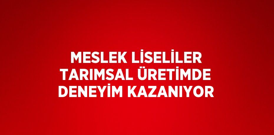 MESLEK LİSELİLER TARIMSAL ÜRETİMDE DENEYİM KAZANIYOR