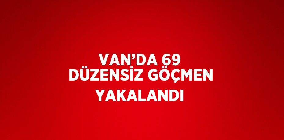 VAN’DA 69 DÜZENSİZ GÖÇMEN YAKALANDI