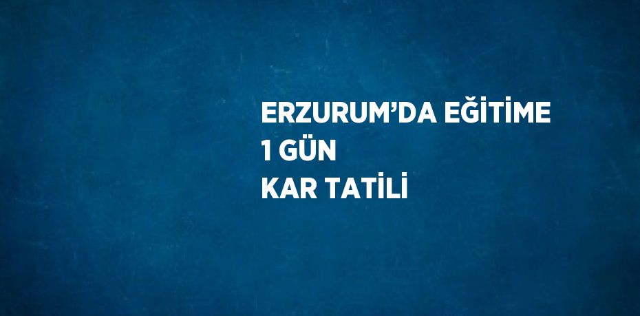 ERZURUM’DA EĞİTİME 1 GÜN KAR TATİLİ