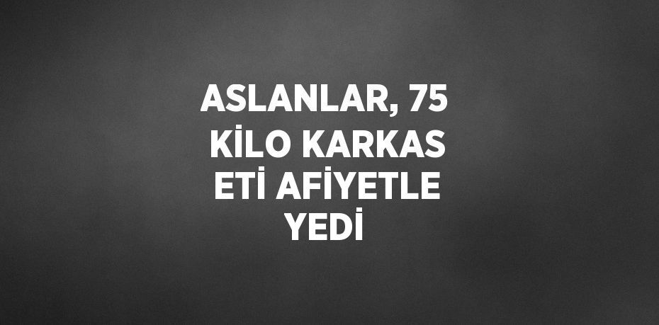 ASLANLAR, 75 KİLO KARKAS ETİ AFİYETLE YEDİ