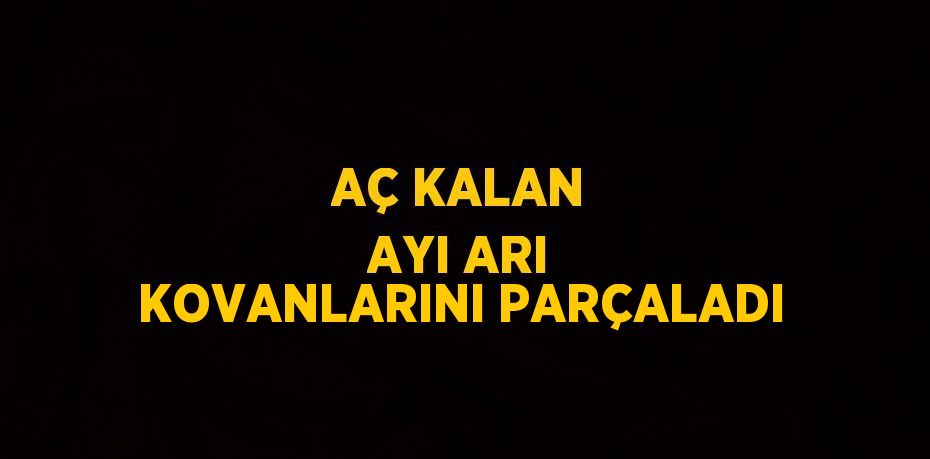 AÇ KALAN AYI ARI KOVANLARINI PARÇALADI