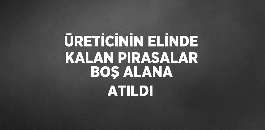 ÜRETİCİNİN ELİNDE KALAN PIRASALAR BOŞ ALANA ATILDI