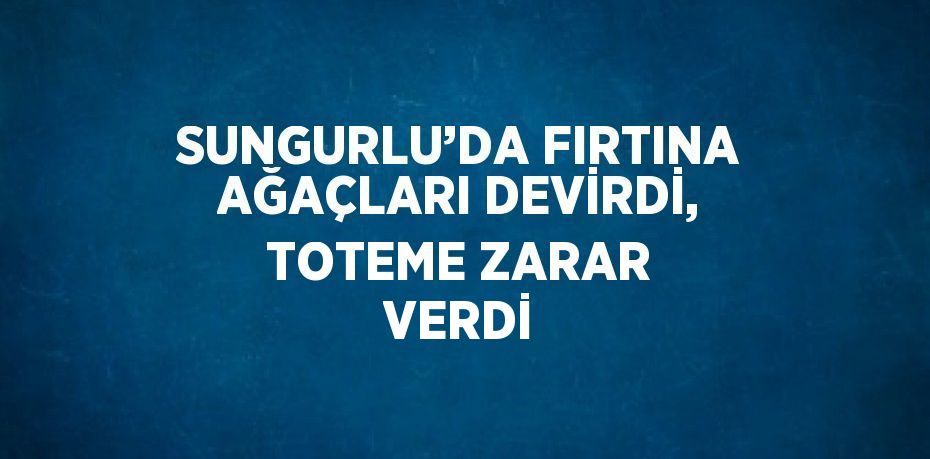 SUNGURLU’DA FIRTINA AĞAÇLARI DEVİRDİ, TOTEME ZARAR VERDİ