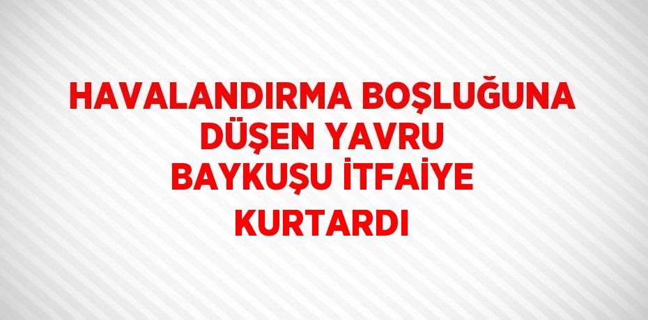 HAVALANDIRMA BOŞLUĞUNA DÜŞEN YAVRU BAYKUŞU İTFAİYE KURTARDI