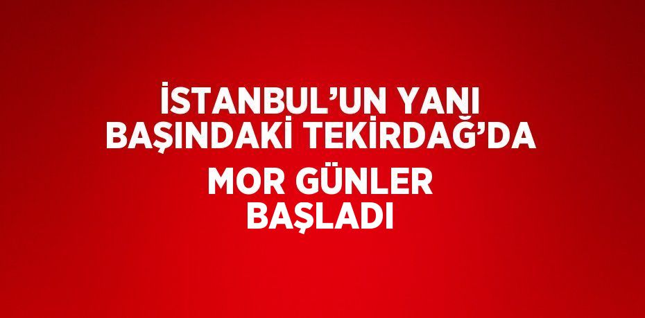 İSTANBUL’UN YANI BAŞINDAKİ TEKİRDAĞ’DA MOR GÜNLER BAŞLADI