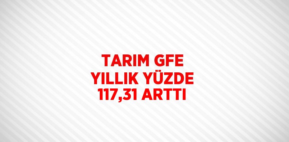 TARIM GFE YILLIK YÜZDE 117,31 ARTTI