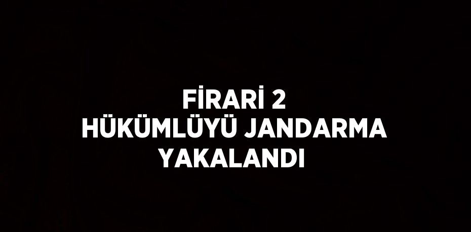 FİRARİ 2 HÜKÜMLÜYÜ JANDARMA YAKALANDI