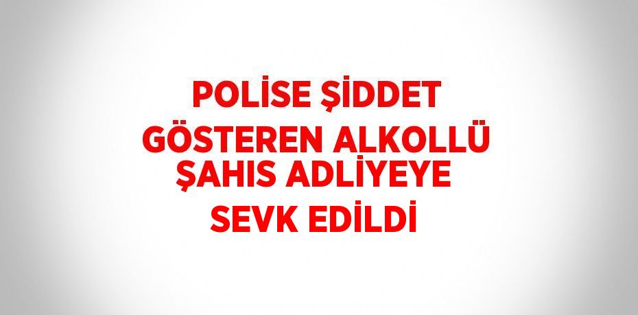 POLİSE ŞİDDET GÖSTEREN ALKOLLÜ ŞAHIS ADLİYEYE SEVK EDİLDİ