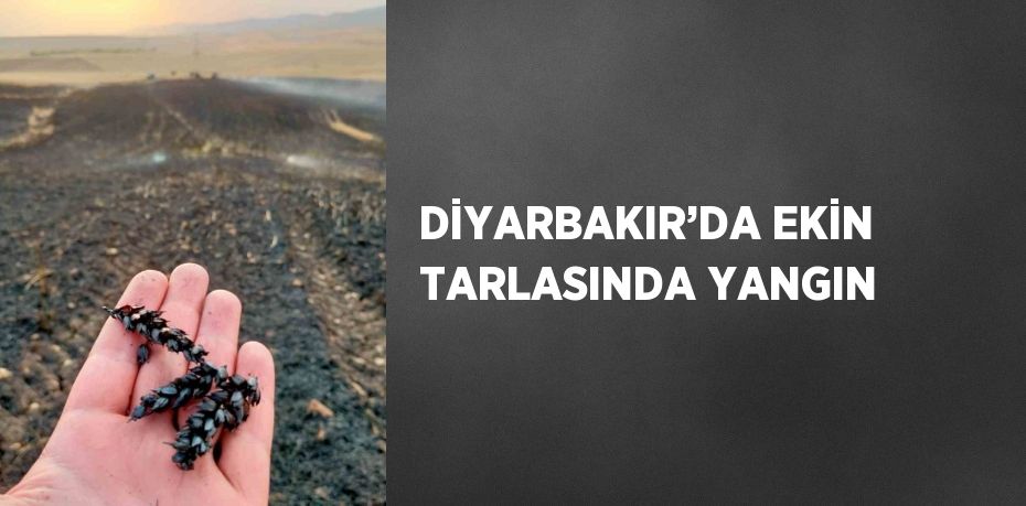 DİYARBAKIR’DA EKİN TARLASINDA YANGIN