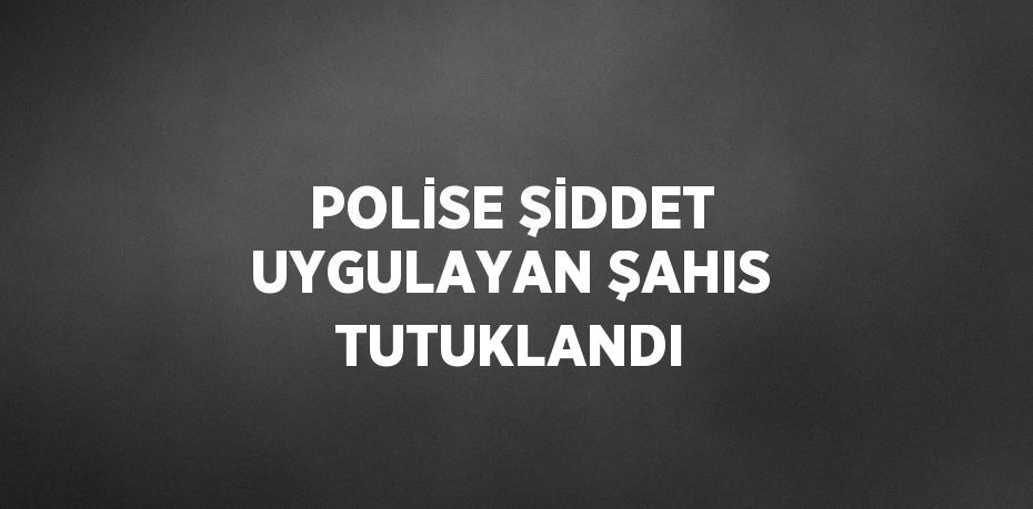 POLİSE ŞİDDET UYGULAYAN ŞAHIS TUTUKLANDI