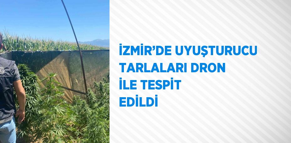 İZMİR’DE UYUŞTURUCU TARLALARI DRON İLE TESPİT EDİLDİ
